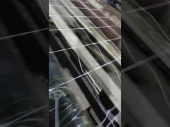 شبکه صعود گیاهان