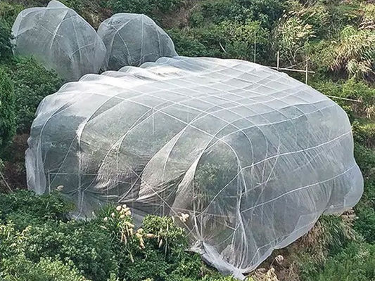 High Density Agriculture Insect Net 50gsm Plant Cover Net 60mesh White Vegetable