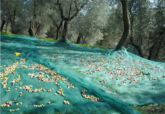 Wholesale Only! Olive Collect Net,Knitted Net, Anti Hail Net, 50-120gr/sqm,Virgin Material