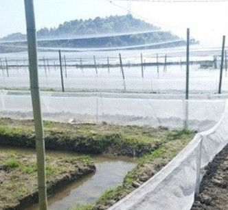 HDPE Anti Insect Netting for Greenhouse and Plant Protection