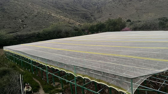 شبکه های کشاورزی ضد حشرات HDPE UV درمان شده مقاومت در برابر اشک را فراهم می کند